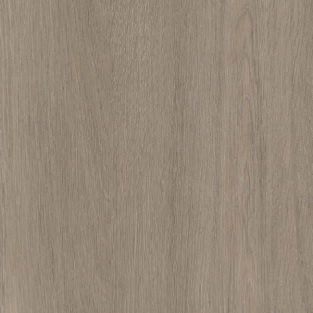 Picture of Beige Grey Lorenzo Oak ABS 23 x 0.8MMX75MTR ST19